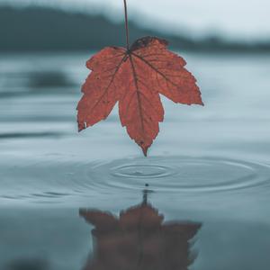 农村激情亂伦小说艳满乡村视频
